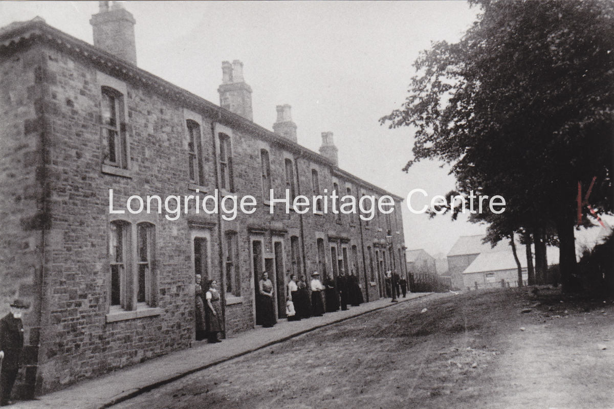 519A - Crumpax Avenue - View of avenue - 1905
